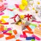 Rectangle Tissue Confetti Multicolor Confetti Sprinkles for Clubs Weddings Birthday Celebrations Fiesta Party Decor, 0.79 x 1.97 Inch(300g,Paper)